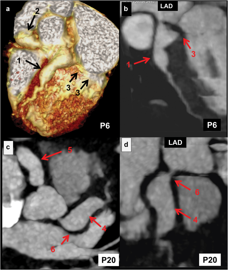 Fig. 7