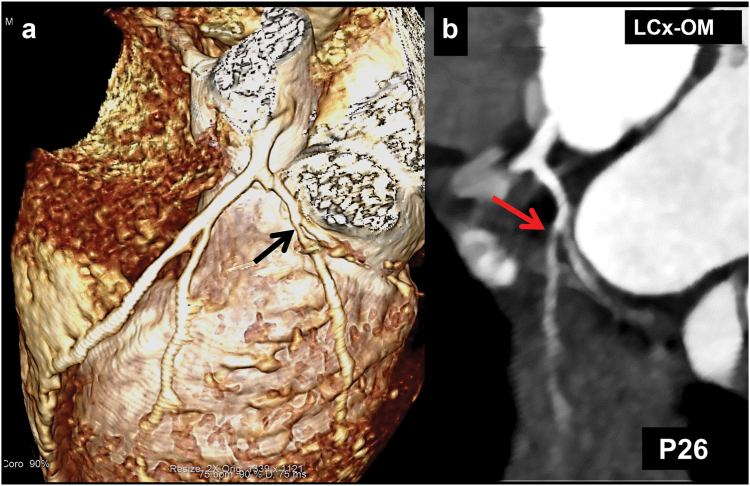 Fig. 5