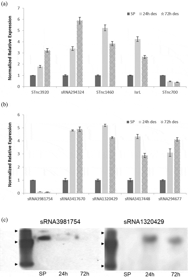 Figure 4.