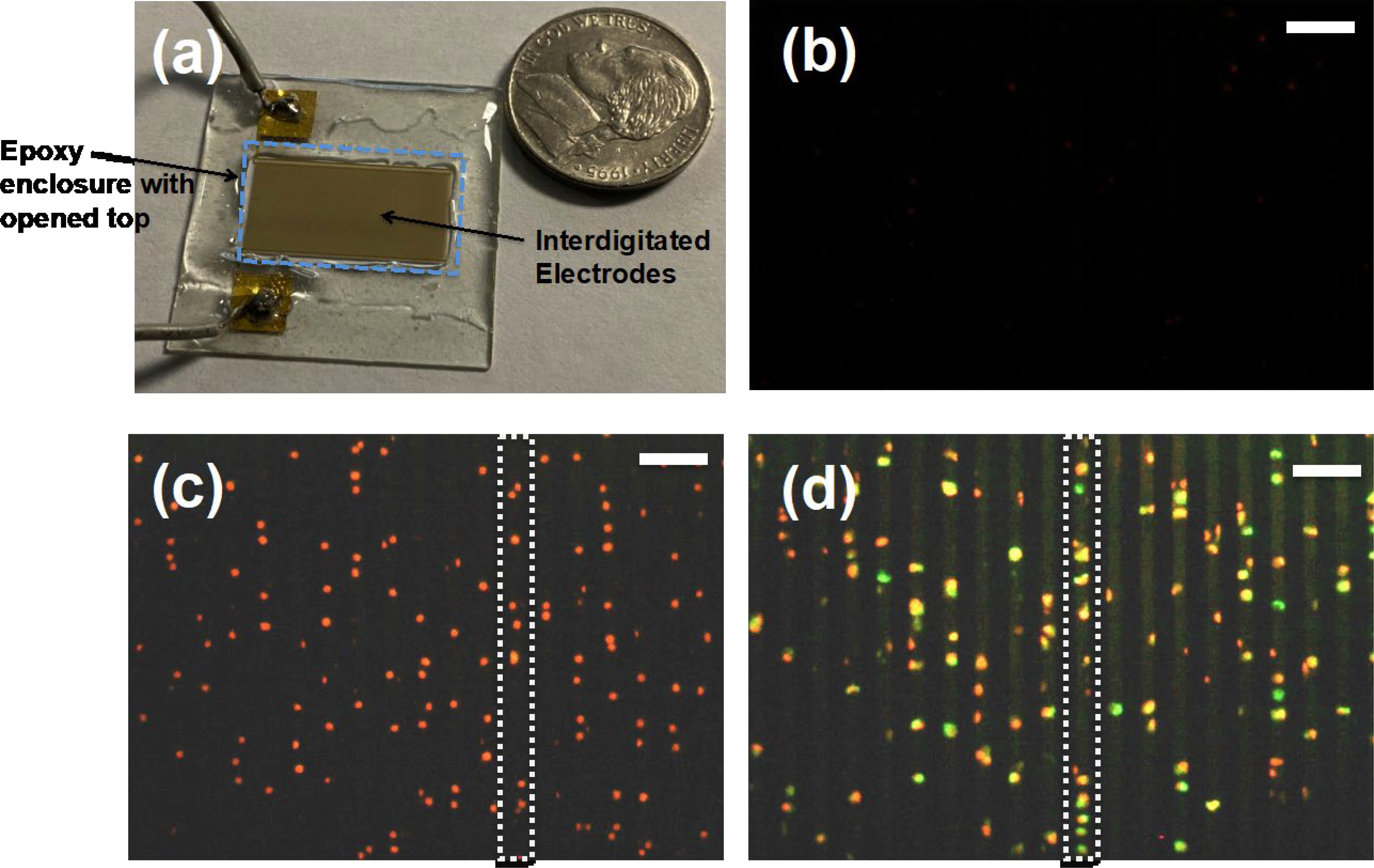 Figure 3: