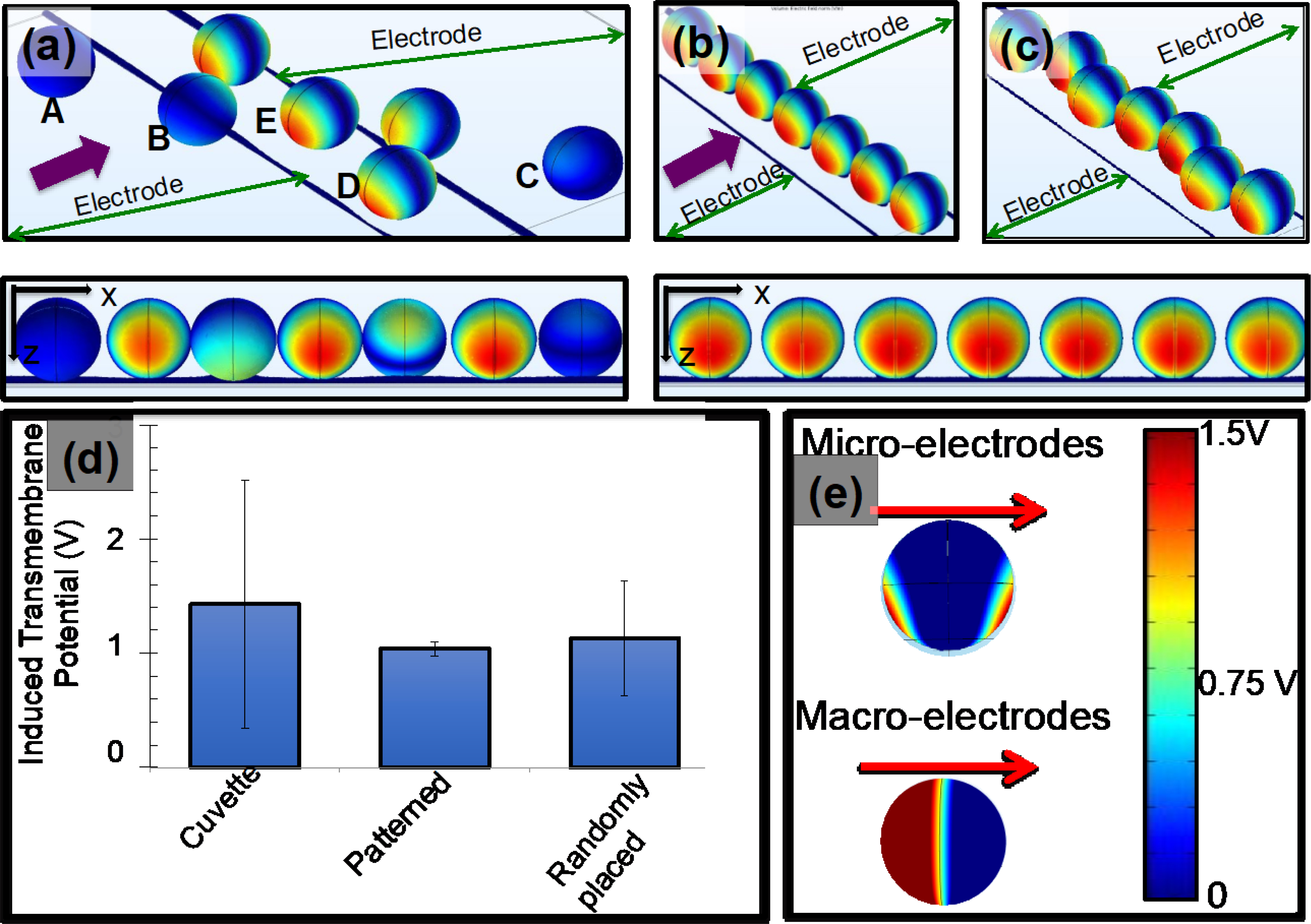 Figure 2: