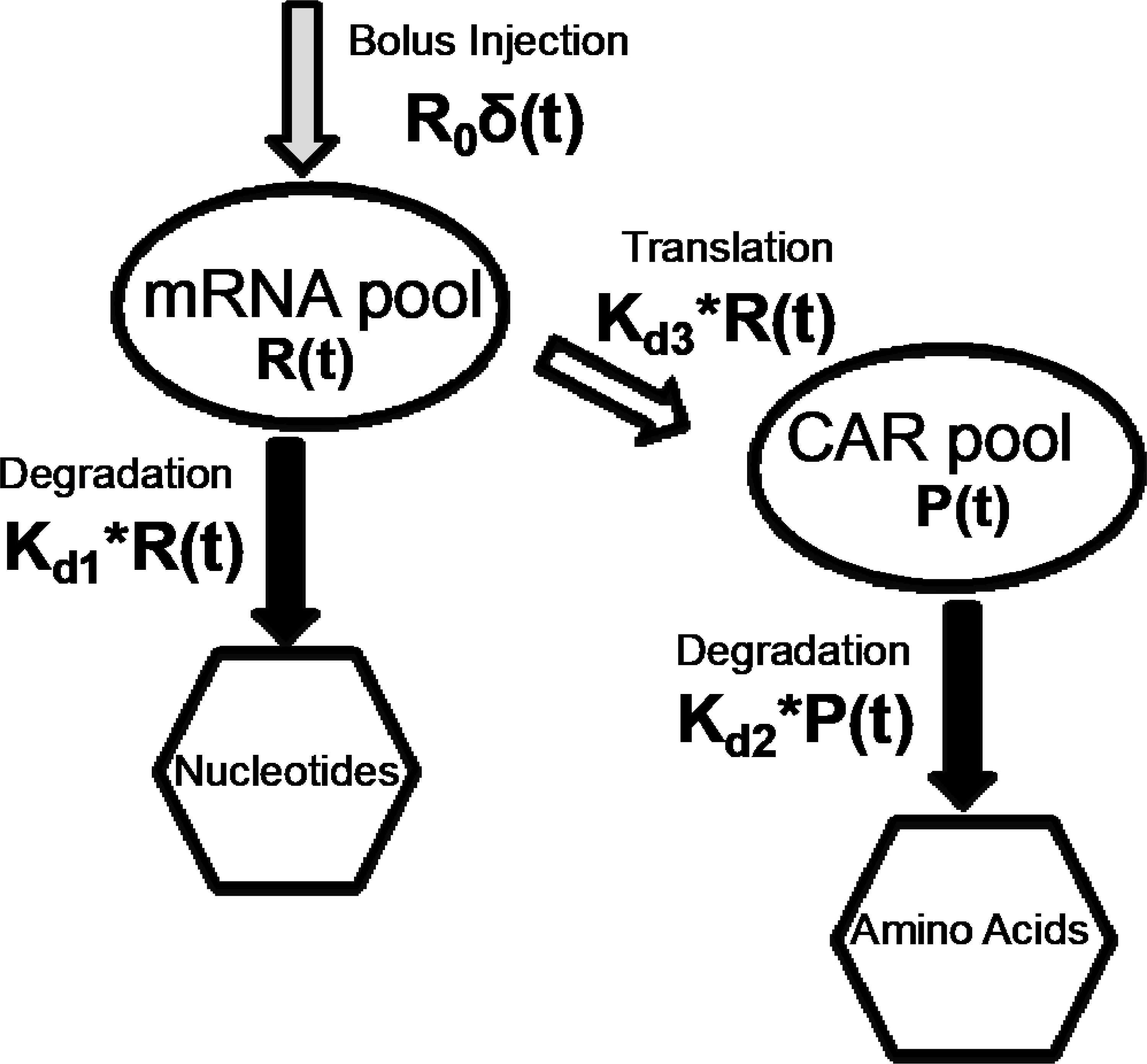 Figure 6: