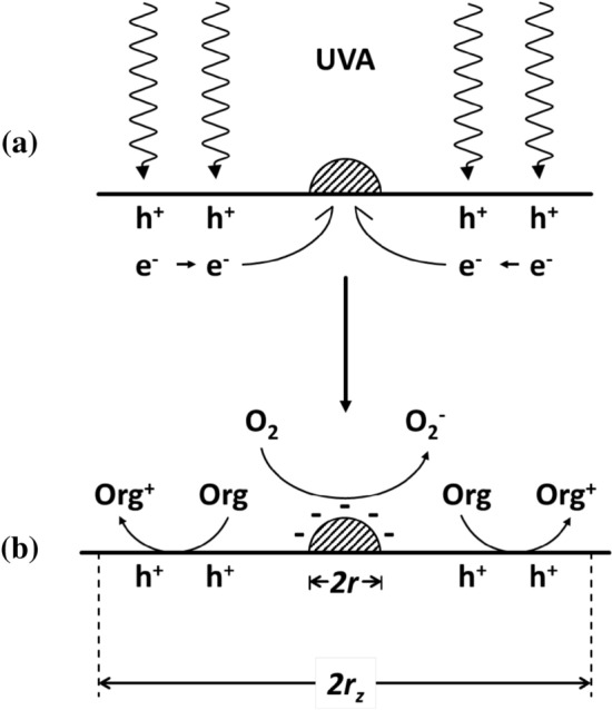 Fig. 13