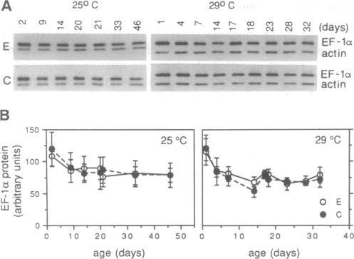 graphic file with name pnas01132-0108-a.jpg