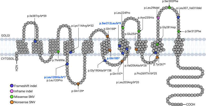 Fig. 2