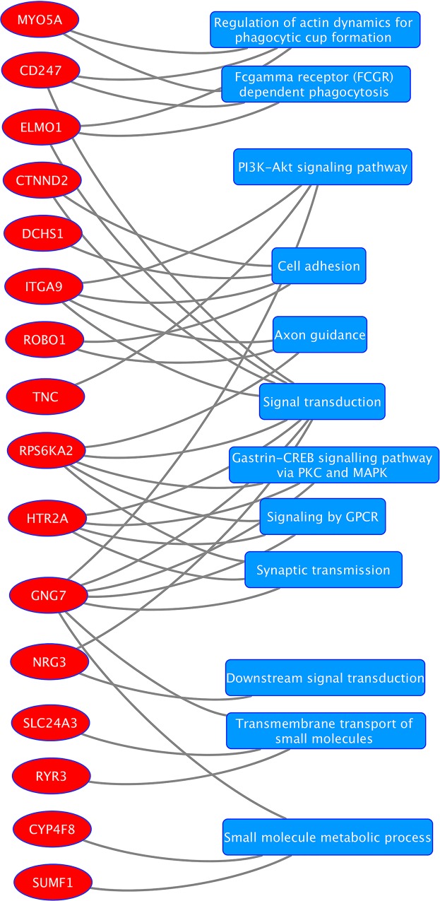 Fig 6