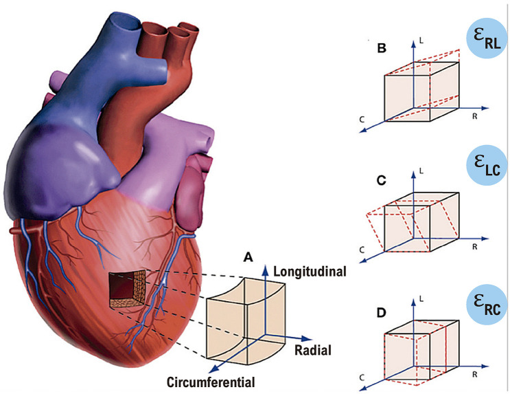 Figure 1.1