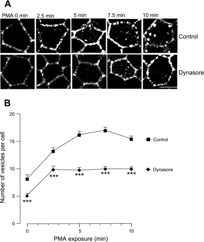 Fig. 9.