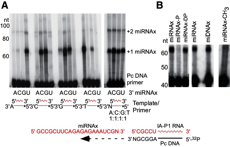 FIGURE 7.