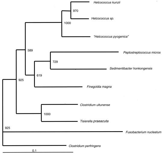 FIG. 1.