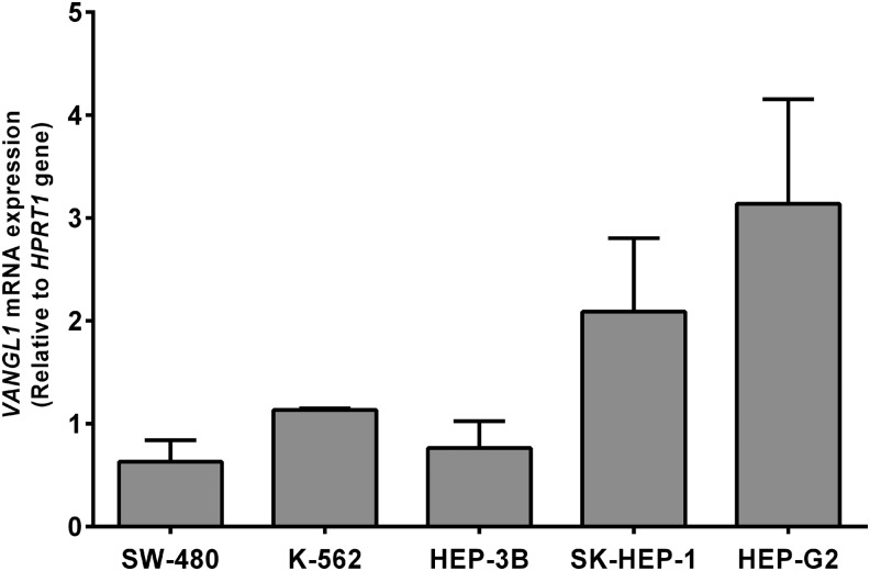 FIG. 1.