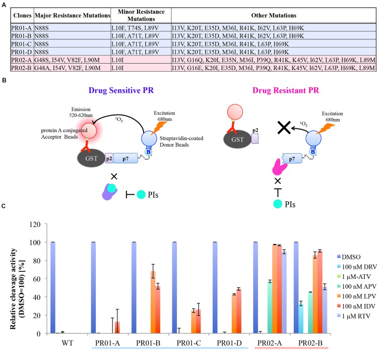 FIGURE 3