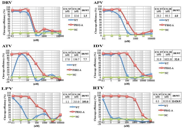 FIGURE 4