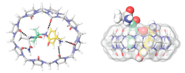 Figure 21