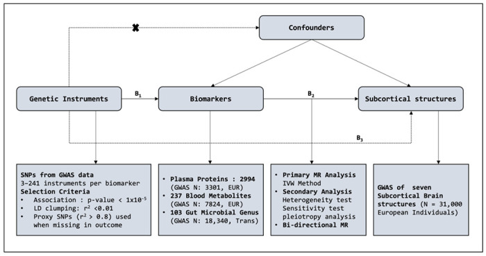 Figure 1: