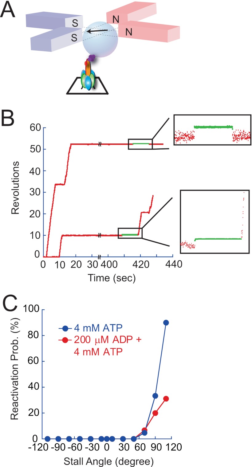 FIGURE 9.