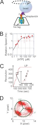 FIGURE 1.