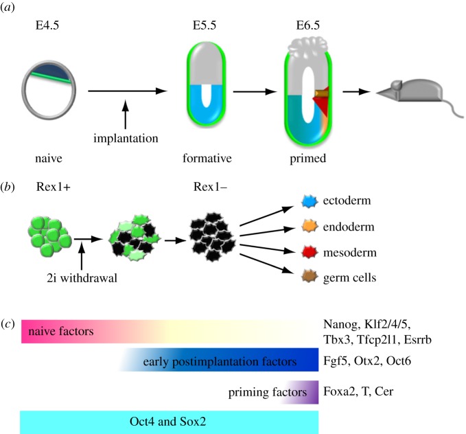 Figure 1.