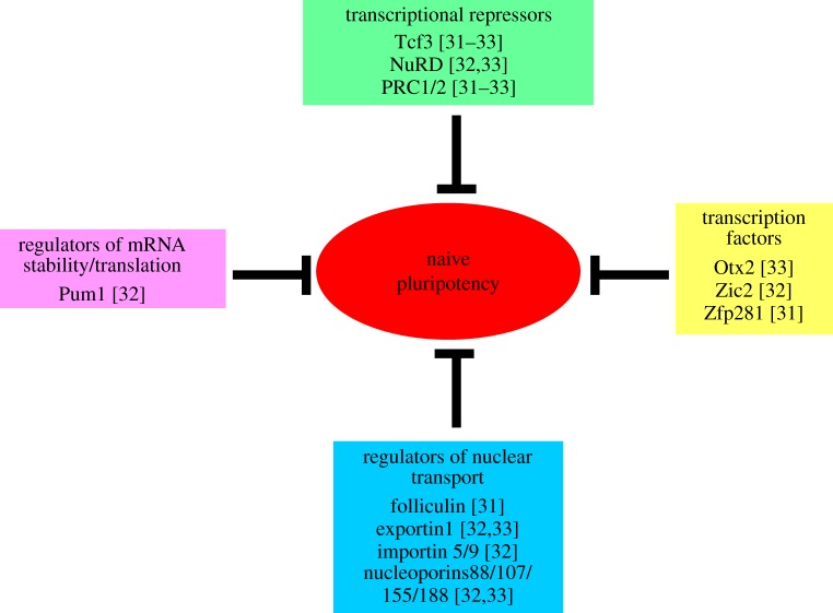 Figure 2.