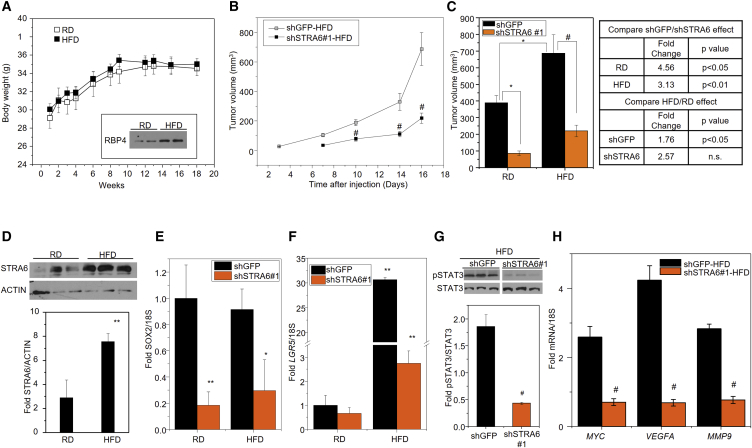 Figure 6