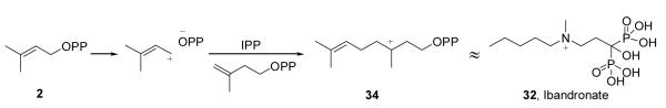 Scheme VII