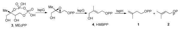 Scheme I