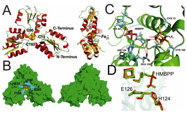 FIGURE 1