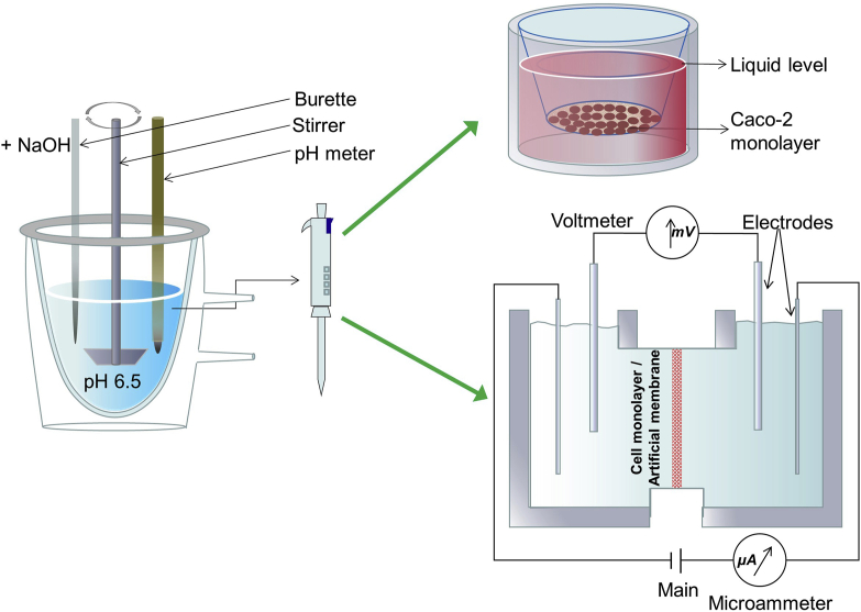 Figure 6