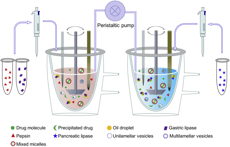 Figure 3