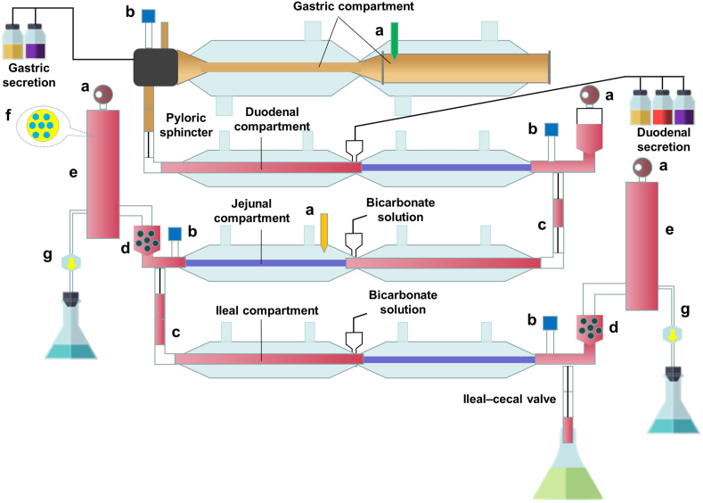 Figure 5