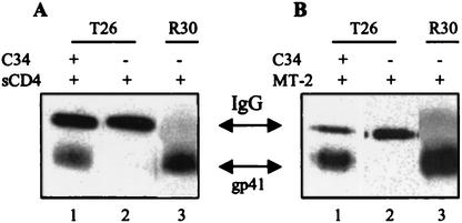 FIG. 5.