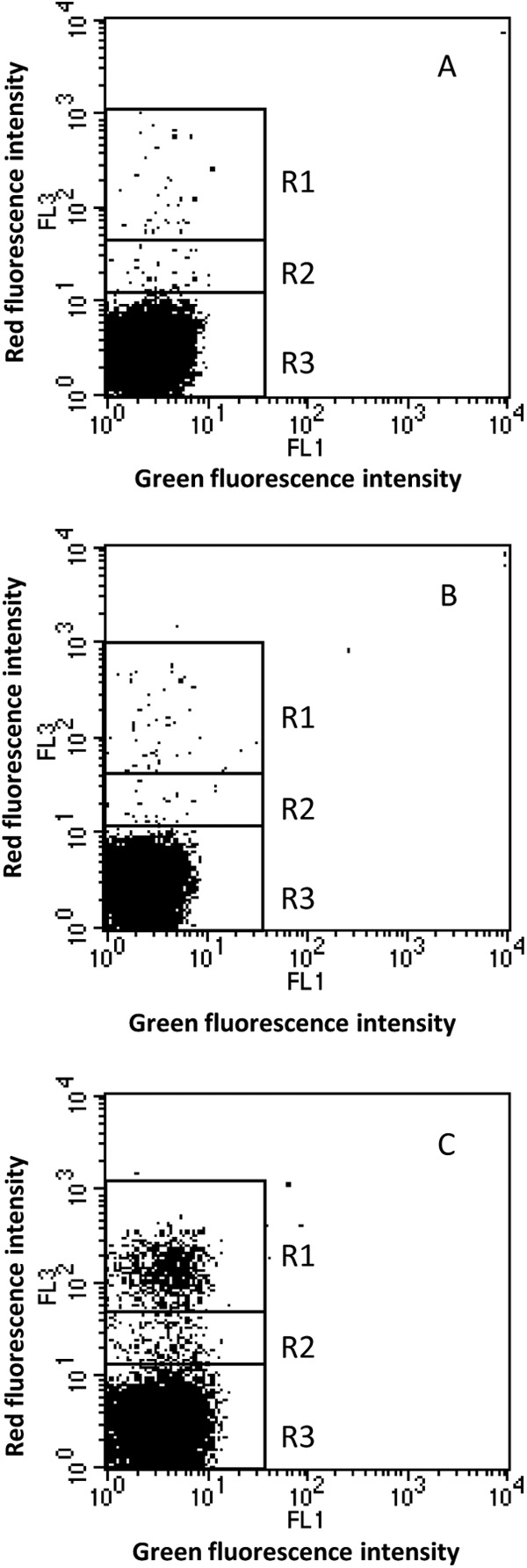 FIG 4