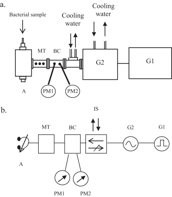 FIG 1