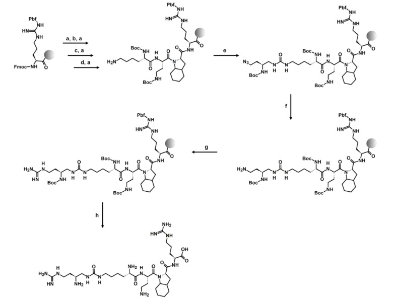 Scheme 1