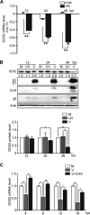 FIG 2