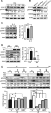 FIG 6