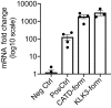 Figure 8—figure supplement 1.