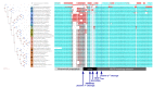 Figure 2—figure supplement 2.