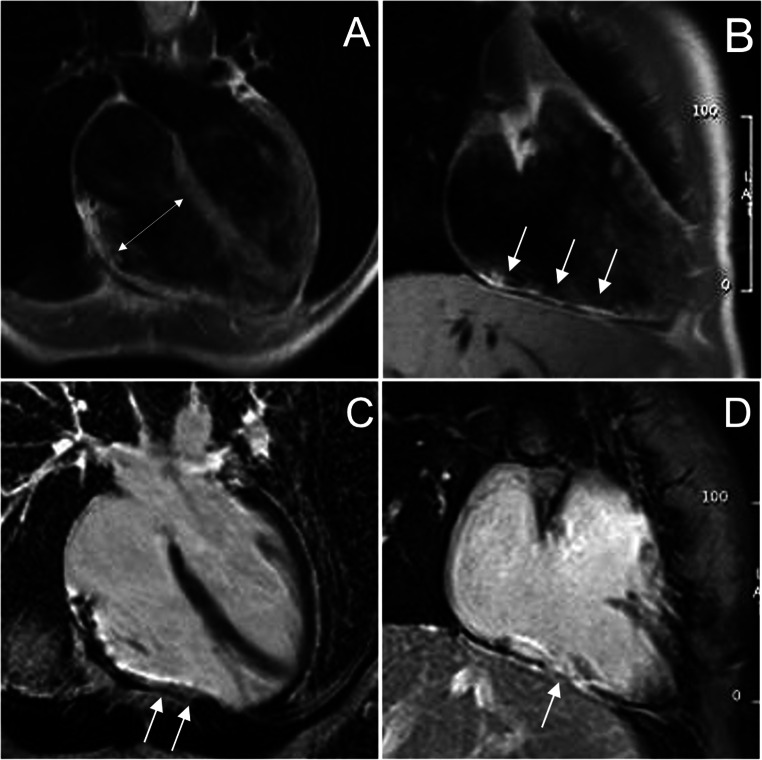 Fig. 5