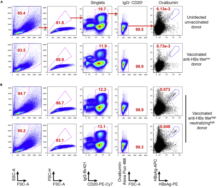 Figure 1