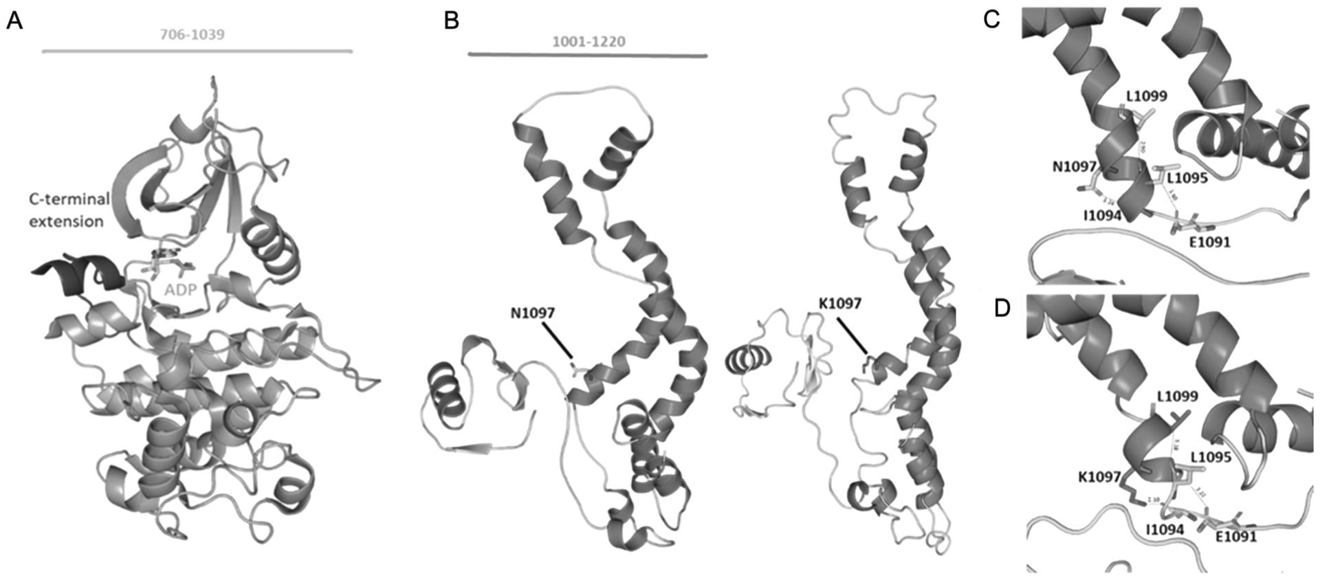 Fig. 5