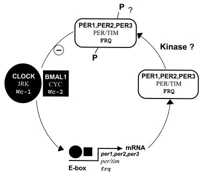 FIG. 15