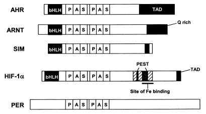 FIG. 16