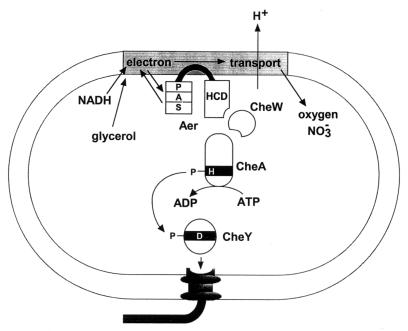 FIG. 9