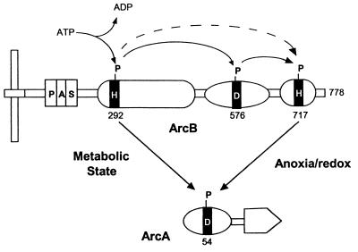 FIG. 10