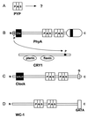 FIG. 4