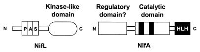 FIG. 11