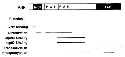 FIG. 17