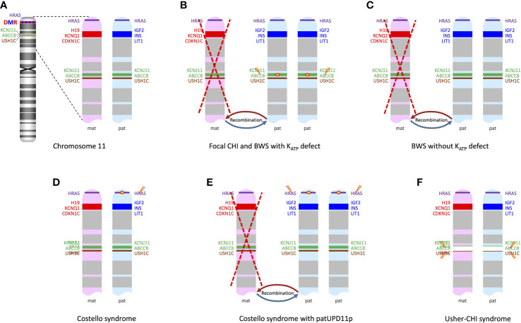 Figure 1