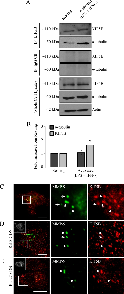 FIGURE 10.